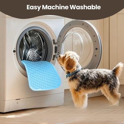 Elarae™ Pet Cooling Mat