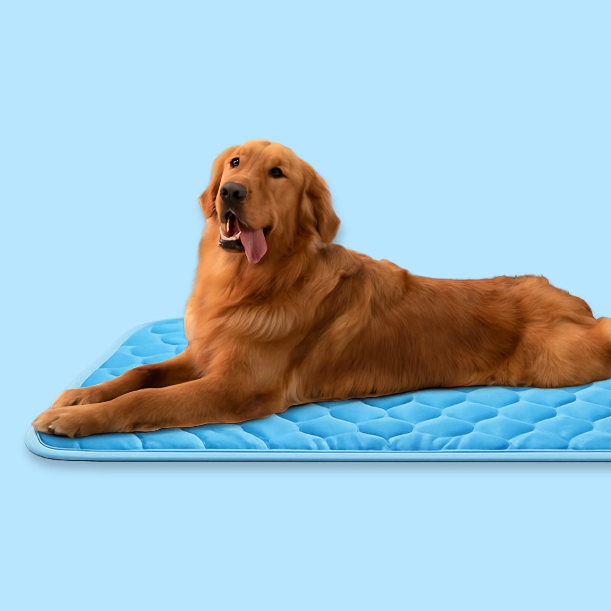 Elarae™ Pet Cooling Mat